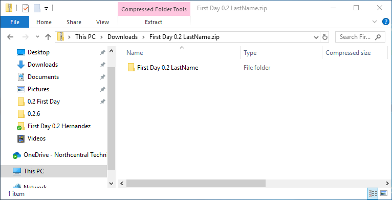 0.2 First Day 1 Snip Zip